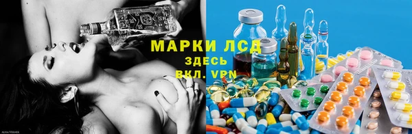 прущие грибы Алексеевка