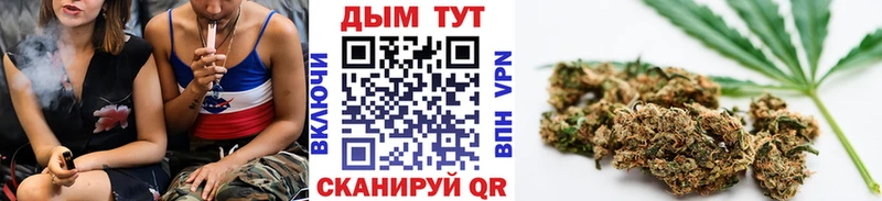 кракен зеркало  Камышин  МАРИХУАНА семена 